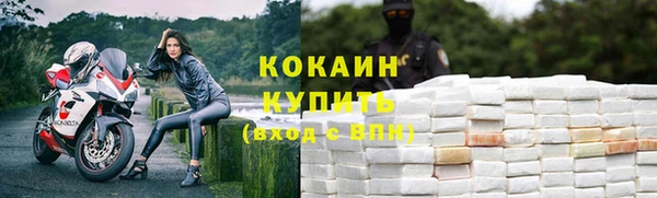 дмт Дмитров