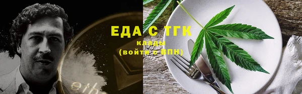 дмт Дмитров