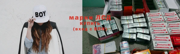 дмт Дмитров