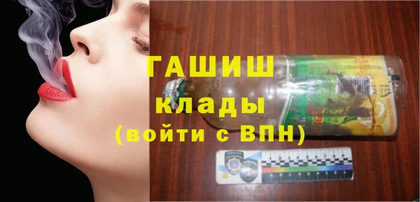 дмт Дмитров