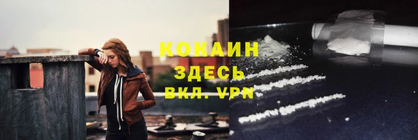 дмт Дмитров