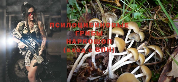 дмт Дмитров