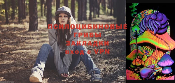 спайс Дмитриев