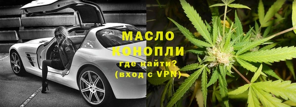 дмт Дмитров