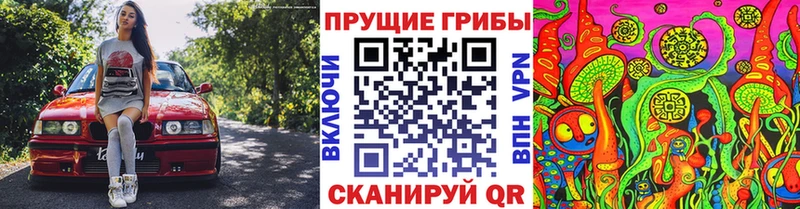 Псилоцибиновые грибы Cubensis  Королёв 
